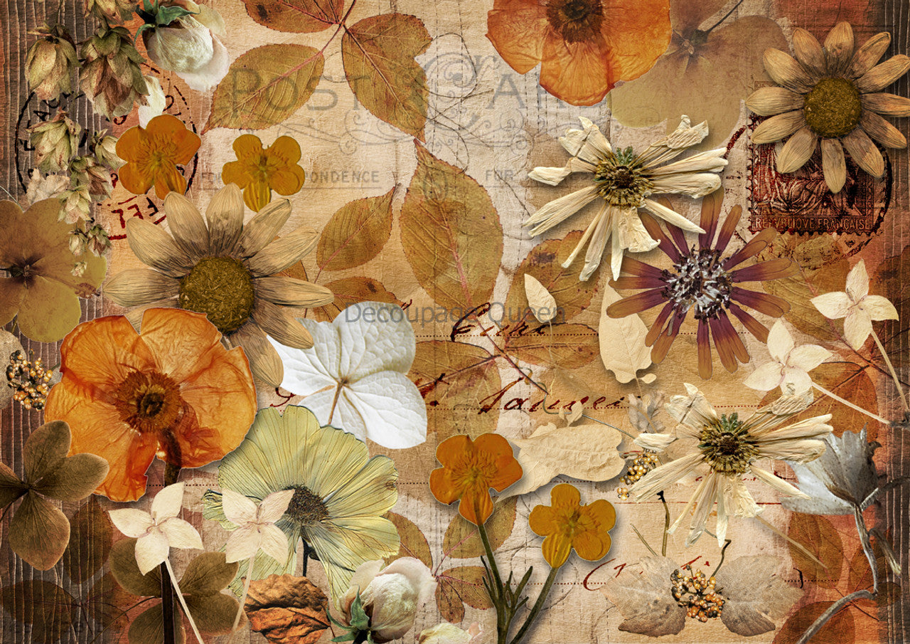 Decoupage Queen Pressed Autumn Flowers-A3