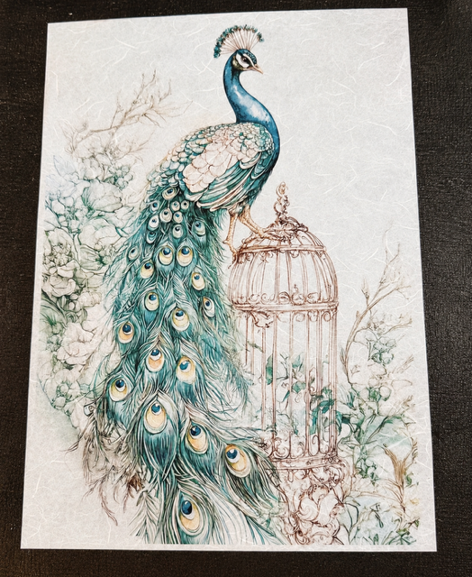 A square art print featuring a detailed illustration of a peacock with a long blue and green tail, standing beside an ornate birdcage, set against a light textured background and photographed on a dark surface.