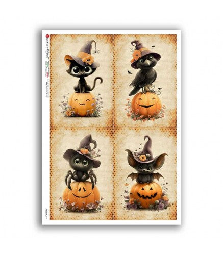 4 images of kitties in pumpkins wearing which hats. Fall/Halloween scenes