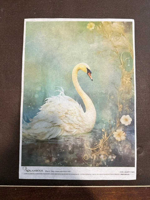 A square art print featuring a white swan in a serene teal and gold-toned water scene, photographed flat against a dark brown surface. The print has a white border with small printed text at the bottom and decorative floral swirls along the right side.