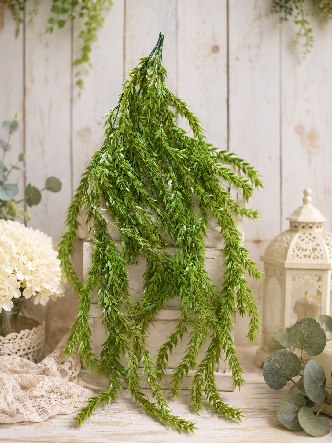 Hanging green plant in a decorative setting with flowers and a lantern.