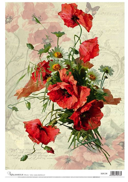 Calambour Delicate Poppies DGR 178 A3-11.7"x16.5"