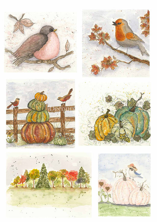 Decoupage Queen-Old to Ooh La La - Fall Birds