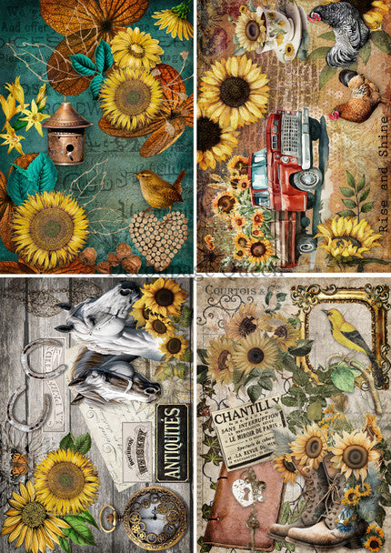 Decoupage Queen Country Sunflowers 4 Pack Rice Paper