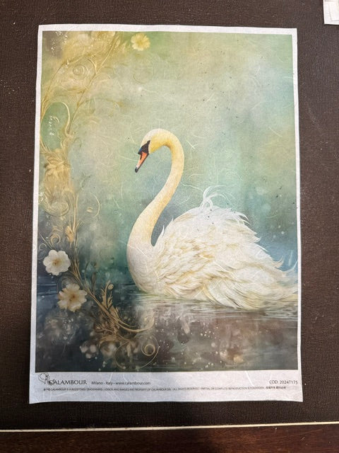 Calambour Right Swan Rice Paper – A4