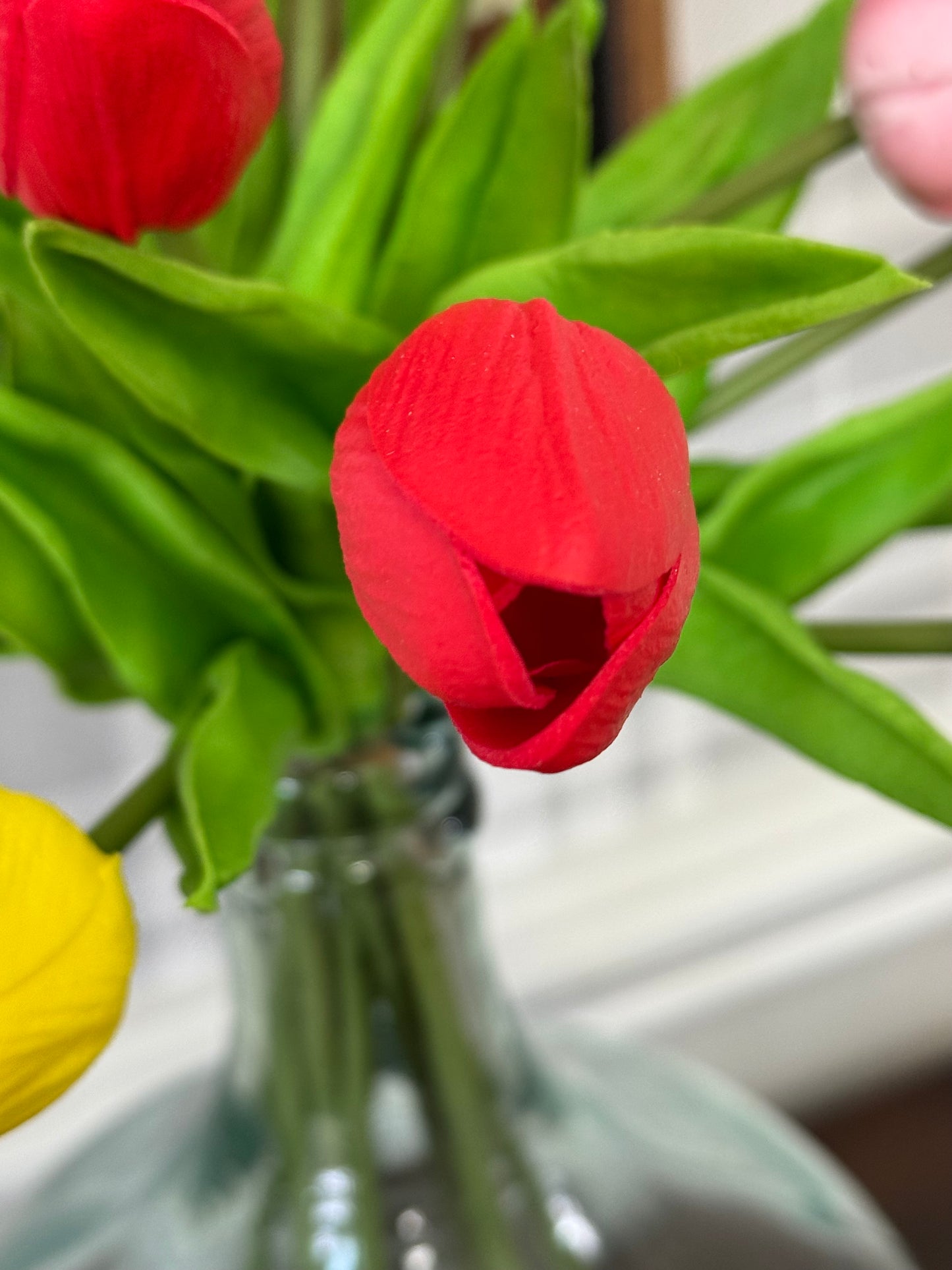 Red tulips in a clear vase with a blurred background