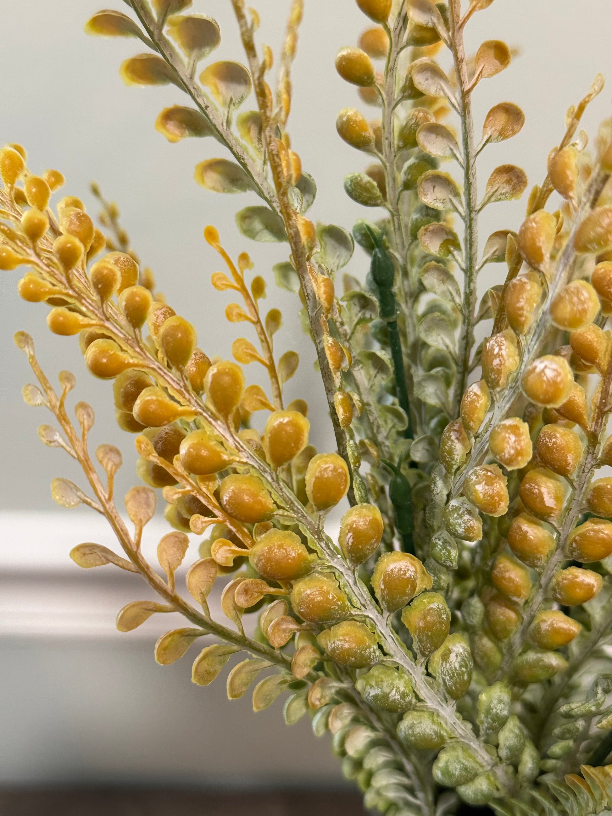 Close-up of a plant with yellow buds and green leaves on a blurred background