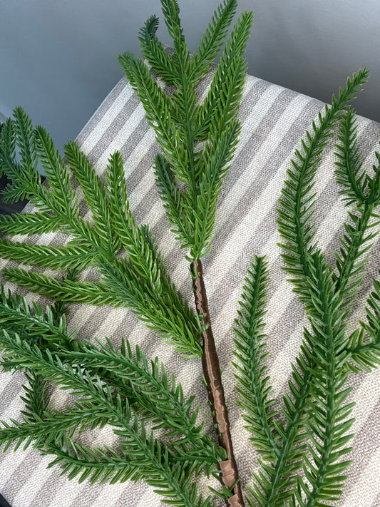 Norfolk pine greenery pick-close up