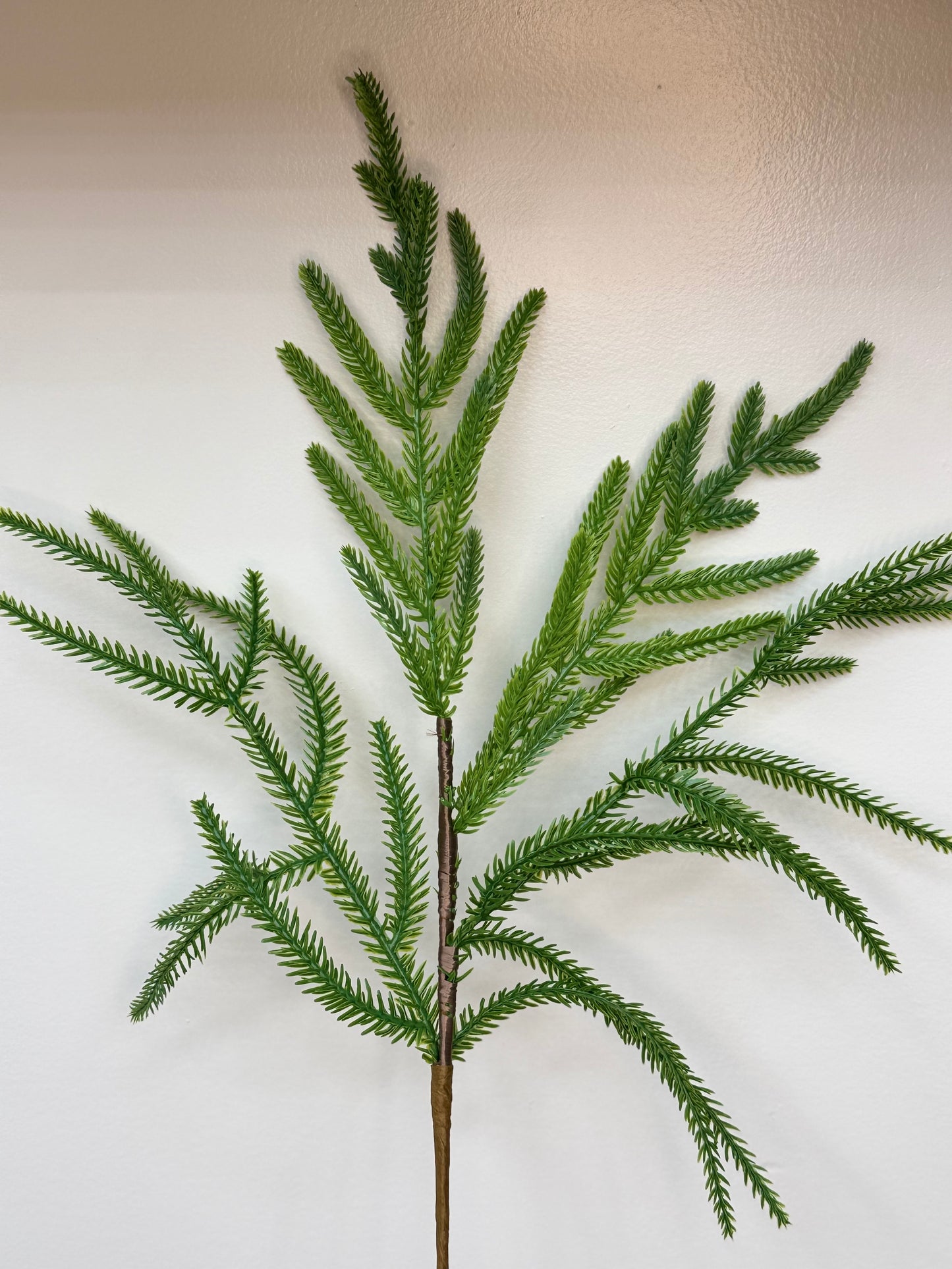 Norfolk pine greenery pick-close up