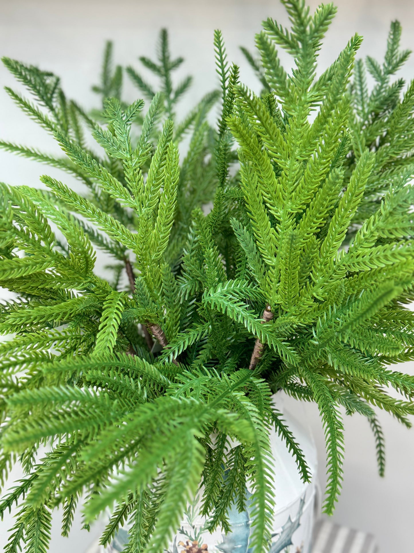 Close up of the Norfolk Pine Pick branches