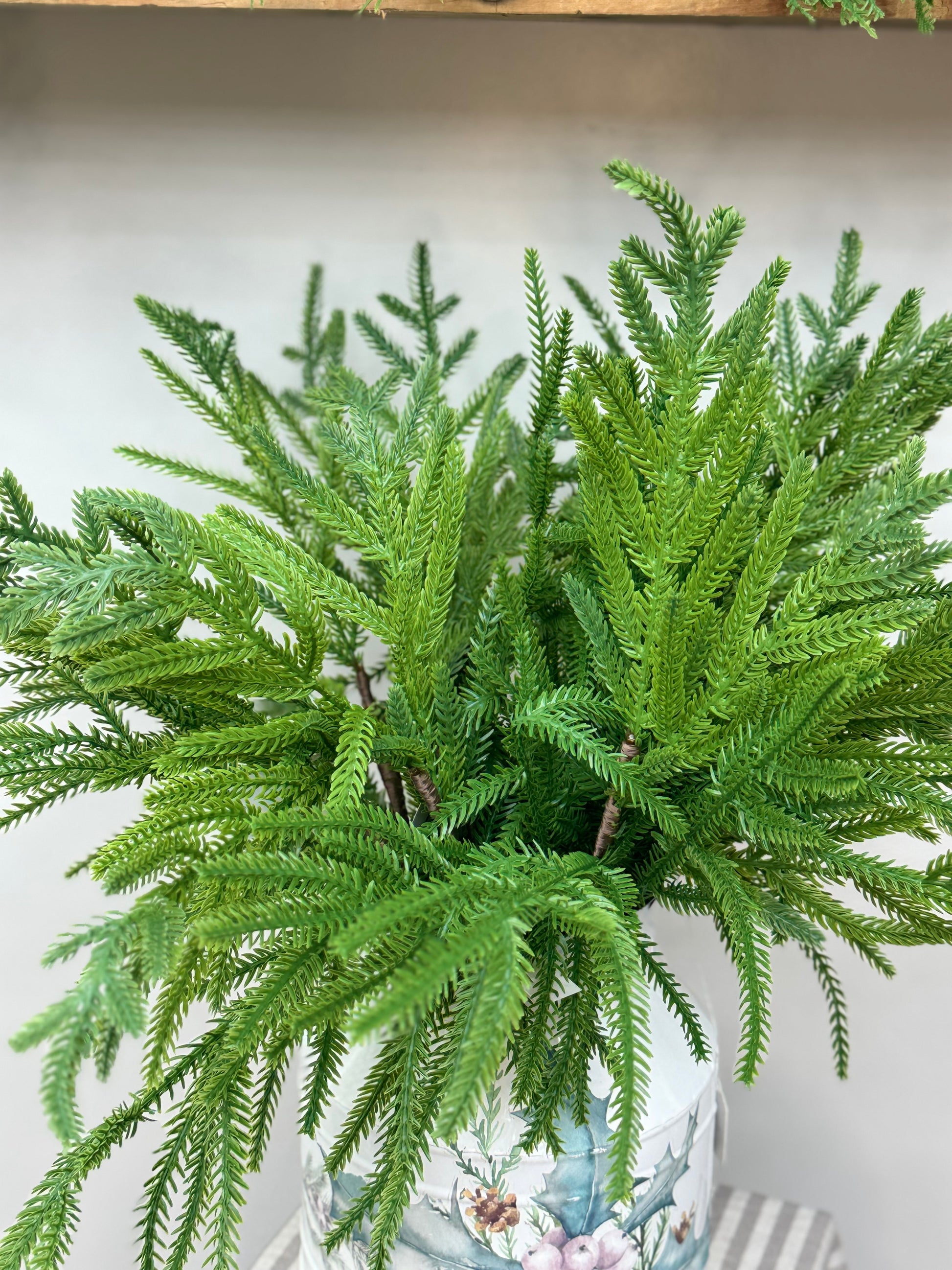 Close up of the Norfolk Pine Pick branches
