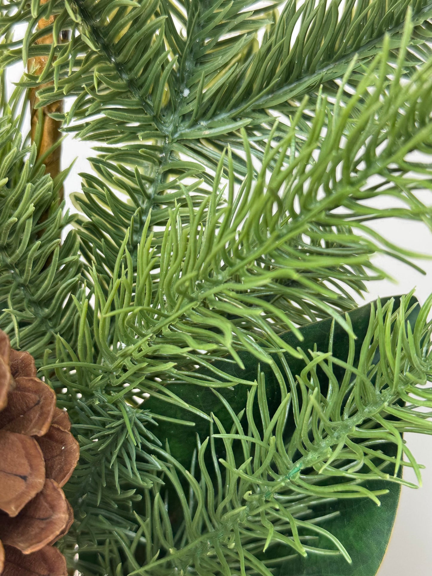 close up of the pine branches