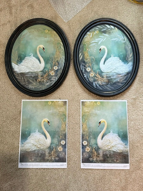 Two oval framed swan paintings and two matching swan art prints laid out on a beige carpeted floor.
