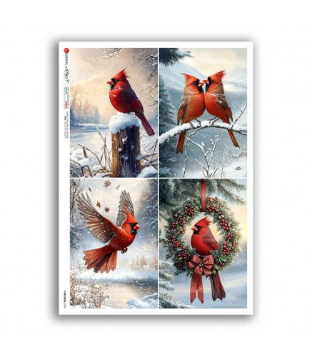 Set of four Christmas cards featuring red cardinals in a snowy landscape.