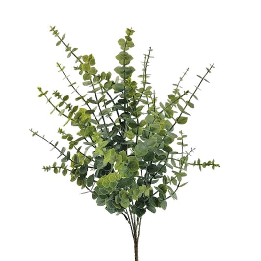 BABY EUCLYPTUS 19" (PLASTIC)