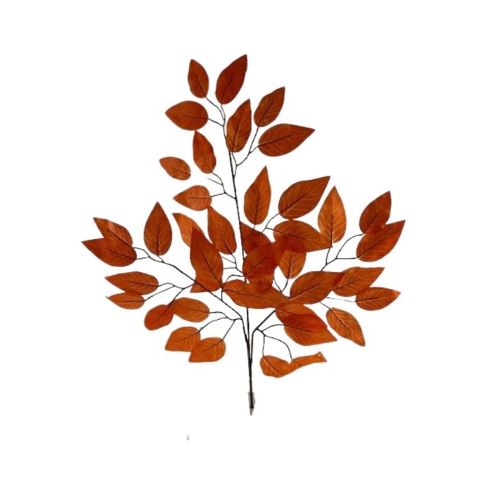 Ficus Spray