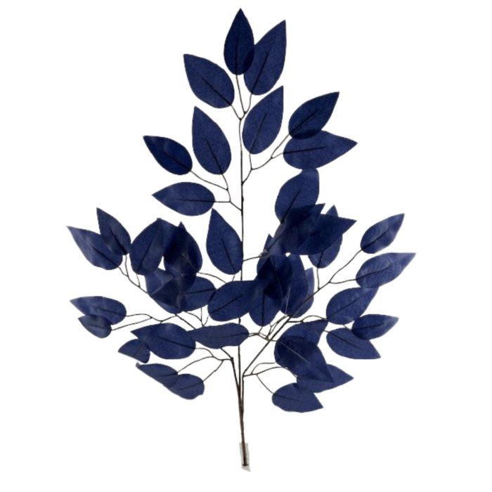 Ficus Spray