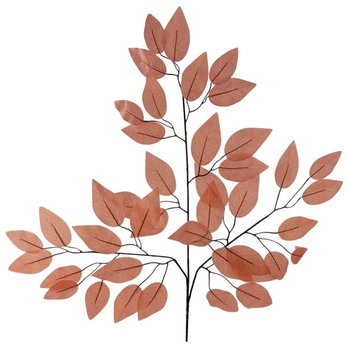 Ficus Spray