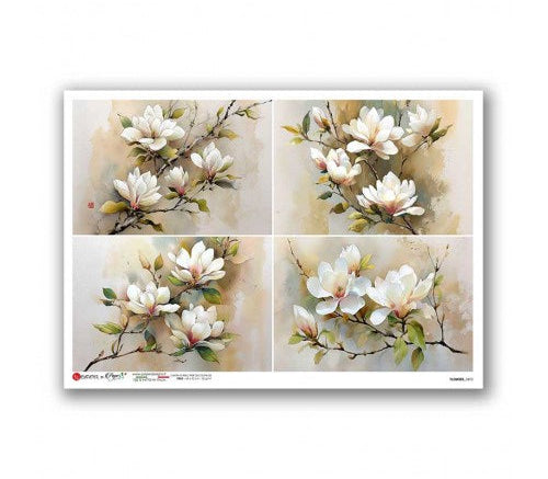 Four-panel artwork of white flowers with green leaves on a beige background