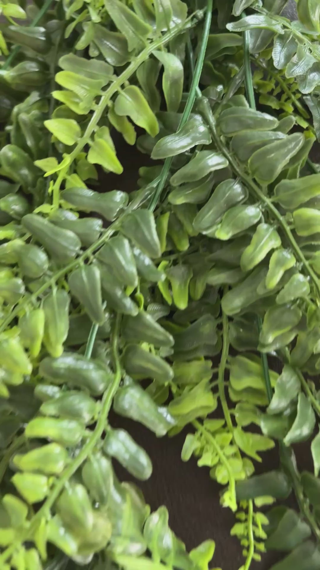 video close up of Green artificial fern foliage with realistic textured leaves on a dark brown background.
