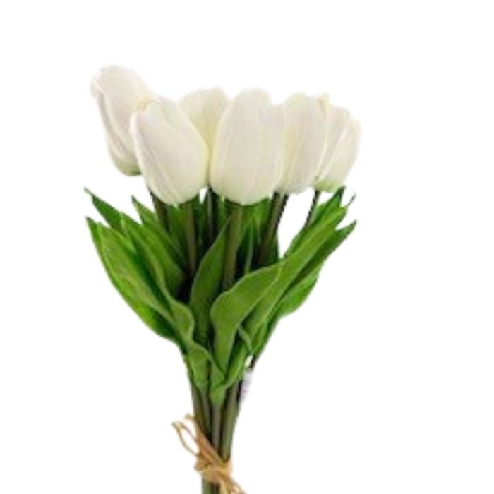Bouquet of white tulips with green leaves on a white background
